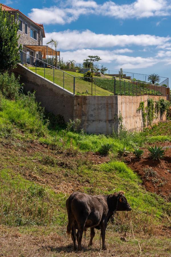 Flora - Nature & Tranquility - Heated Pool Optional Willa Jardim do Mar